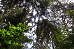 20180603_110057