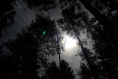 20180603_111538