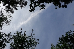20180603_114500