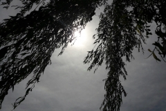 20180603_120625_001